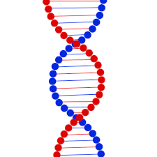 Resultado de imagen de human body