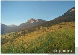 103 просмотра 7 лет назад. Poster Slowakije Natuur Terchova Pixers We Leven Om Te Veranderen