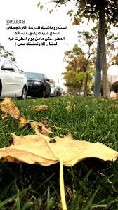 كتابات wood firewood crafts