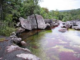 Check spelling or type a new query. 5 Razones Para Visitar Cano Cristales