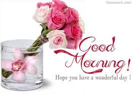 Good Morning Hope You Have A Wonderful Day Good Morning Greetings Good Morning Flowers Good Morning Images