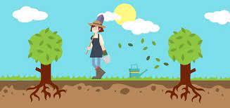 The success of the seed and new grass will be directly dependent on the conditions in which it is planted. How To Prepare Soil For Grass Seed Nature S Seed