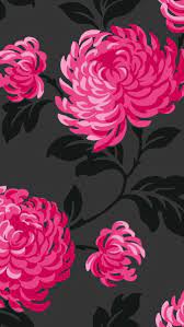Flowers Pink Flowers Wallpaper Flower Wallpaper Iphone Wallpaper
