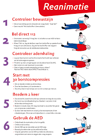 Reanimatie en defibrillatie van een volwassene. In 6 Stappen Iemand Kunnen Reanimeren Ondernemende Nl