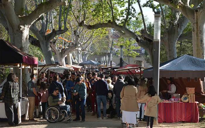 Mercadillo de Alcañiz