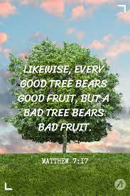 Check spelling or type a new query. Likewise Every Good Tree Bears Good Fruit But A Bad Tree Bears Bad Fruit Matthew 7 17 Best Fruits Matthew 7 Winter Cozy