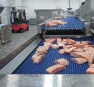 Extremely fast freezing with cryogenic freezing solutions