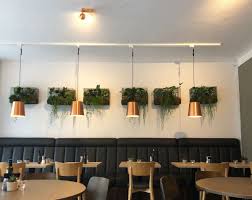 Bildergalerie Aus Alten Gitterboxen Mit Pflegeleichten Pflanzen Fur Das Restaurant Samos In Hamburg Die Pflanzen Sorgen F Dekor Tischdekoration Deko Ideen