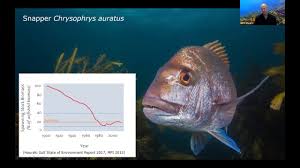 Changing Tides Tai Tōrua Ocean Resilience Webinars