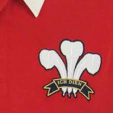 Official welsh rugby 2020/21 home shirt. Wales Rugby Union Shirt Vintage Jersey Ellis Rugby