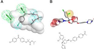 Small Molecule-Protein Interactions Exemplified on Short-Chain  DehydrogenasesReductases