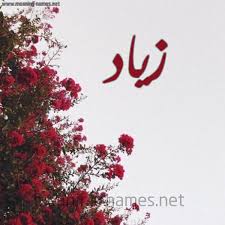 اسم زياد مكتوب علي صور Name Wallpaper Old Cartoons Embroidery Craft