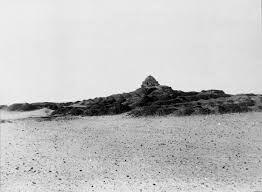 Image result for Oxyrhachis