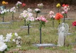 Latest companies in pet cemeteries & crematories category in the united states. Pet Cremation Elm Grove La Heavenly Acres For Pets