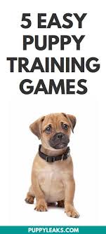 Looking For Some Fun Games To Play With Your Puppy Interactive Games Are Great For Puppies They Re Mentally S Puppy Training Training Your Dog Dog Training