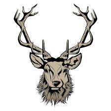 gambar kepala rusa ilustrasi haiwan antler tanduk png dan vektor untuk muat turun percuma di 2020 kepala rusa rusa lukisan hewan pinterest