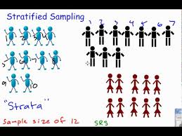 Note that this is a somewhat loose, non technical definition. Stratified Sampling Youtube