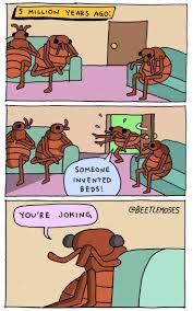 Image result for sarcastic comics