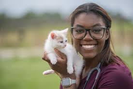 Casey Lavender, a Doctor of Veterinary Medicine student at MSU CVM, has had  a transformative four years filled with hands-on learning and leadership  opportunities. As one of 15 students selected for the