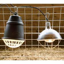 You will, however, need an electrical socket within reach of the device, as it is its only power source. Prima Heat Lamp Premier1supplies
