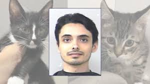 Allen Catalan's Instagram, Twitter & Facebook