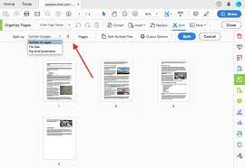 Format file dokumen yang paling populer adalah pdf dan docx (format word). Cara Pisah File Pdf Antirepot Tak Sampai 5 Menit Glints Blog