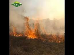 Wildfire Toxic Ash Suppression with Posi-Shell