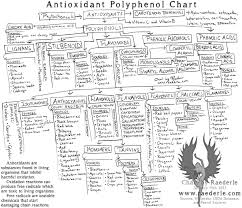 Chart To Explain The Relationship Between Polyphenols