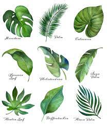 Cut out the shape and use it for coloring, crafts, stencils, and more. Tropical Leaf Free Printable Art Series Of 9 The Happy Housie