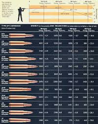 Ballistic Chart For Hubs Hunting Rifles Hunting Guns