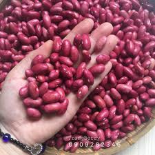 Trộn bột đậu đỏ với sữa. Trangberry Ä'áº­u Ä'á» TÆ°Æ¡i Ä'a Láº¡t Ä'áº­u TÆ°Æ¡i Náº¥u Nhanh Facebook