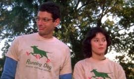 The Big Chill | Rotten Tomatoes