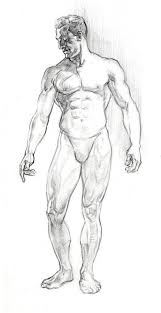 All the best male anatomy drawing 35+ collected on this page. Character Design Collection Male Anatomy Daily Art Anatomy Art Human Anatomy Drawing Character Design Male