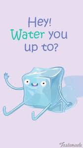 Funny Pun Hey Water You Up To Humor Punny Cute Puns Funny Puns Corny Jokes