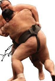 Check spelling or type a new query. Sumo Wrestling In Japan Facts Meaning Culture Tea Ceremony Japan Experiences Maikoya