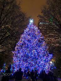 Chicago Christmas Tree Pinned By Carltoninnmidway Www Carltoninnmidway Com Chicago Christmas Tree Chicago Christmas Christmas Tree
