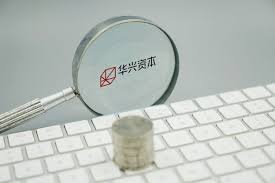 China Renaissance Cornerstone Investors Emerge Ant Financial Lgt Snow Lake Lead Snow Lake Ants Investors