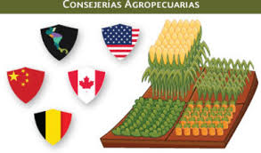Resultado de imagen para Consejería Agropecuarias