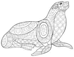 Download and print these seal coloring pages for free of charge. Seal Coloring Stock Illustrations 725 Seal Coloring Stock Illustrations Vectors Clipart Dreamstime