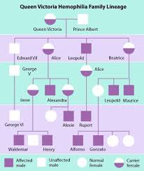 family tree of queen victoria showing hemophilia research