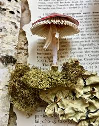 | how to make creamy burrata #mushroompasta without the cream. Mushrooms Magic And Paper Mache