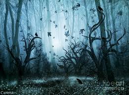 48 Scary Forest Wallpaper On Wallpapersafari