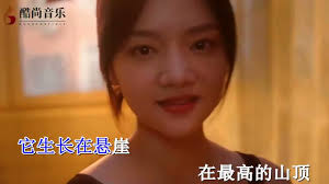 离别开出花- 就是南方凯（原唱+伴奏 卡拉OK mkv封装）