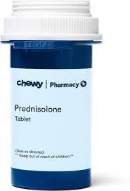 Image result for Prednisolone