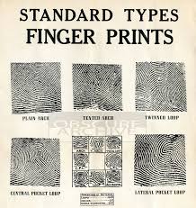 Fingerprints Restored 1930s Chart For Fingerprint Identification Vintage Csi Police Detective Work
