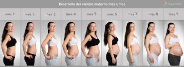 ¿qué puede hacer tu bebé ahora? Mes A Mes Como Crece La Barriga Durante El Embarazo Etapa Infantil
