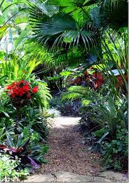 Lime In The Coconut Garden Tropical Landscape Design Tropical Garden Design Jungle Gardens