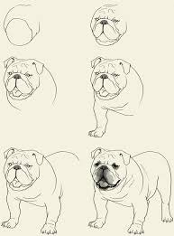 Design To Draw Draw Pattern How To Draw Simple Eyes How To Draw Video Tutorial Step By Step Draw Pattern Animal Drawings Bulldog Drawing Dog Drawing