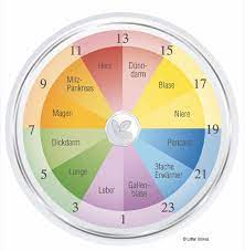 Die organuhr zeigt dir, was dahinterstecken könnte. Wohlfuhlweb Die Organuhr Und Ihre Bedeutung Fur Gesundheit Seele