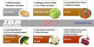 Gm Diet Day 2 Vegetarian Salad